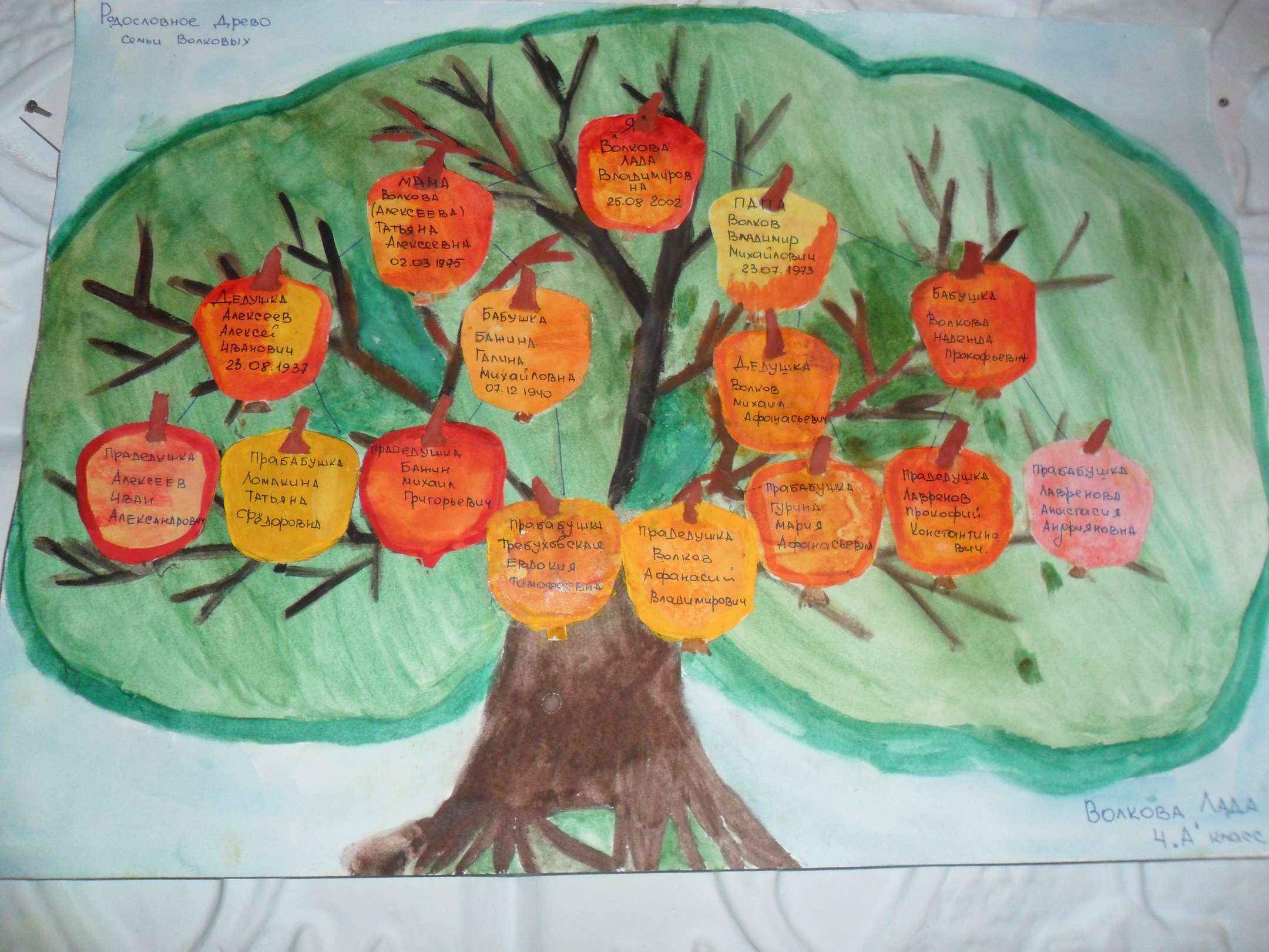 Дерево жизни рисунок в школу
